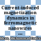 Current-induced magnetization dynamics in ferromagnetic nanowires [E-Book] /