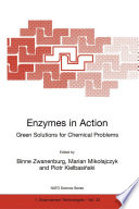 Enzymes in Action [E-Book] : Green Solutions for Chemical Problems Proceedings of the NATO Advanced Study Institute on Enzymes in Heteroatom Chemistry (Green Solutions for Chemical Problems) Berg en Dal, The Netherlands 19–30 June 1999 /