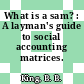 What is a sam? : A layman's guide to social accounting matrices.