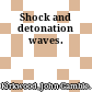 Shock and detonation waves.