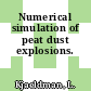 Numerical simulation of peat dust explosions.