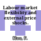 Labour market flexibility and external price shocks.