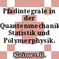 Pfadintegrale in der Quantenmechanik, Statistik und Polymerphysik.