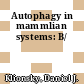 Autophagy in mammlian systems: B/