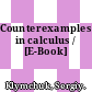 Counterexamples in calculus / [E-Book]