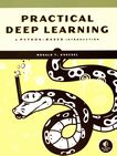 Practical deep learning : a Python-based introduction /