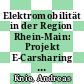 Elektromobilität in der Region Rhein-Main: Projekt E-Carsharing -Anschlussmobilität und Flottenaufbau mit Elektrofahrzeugen : Schlussbericht E-Carsharing /