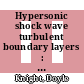 Hypersonic shock wave turbulent boundary layers : direct numerical simulation, large eddy simulation and experiment [E-Book] /