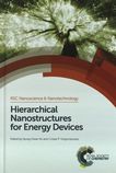 Hierarchical nanostructures for energy devices /