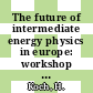 The future of intermediate energy physics in europe: workshop : Proceedings : Freiburg, 10.04.1984-13.04.1984