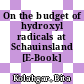 On the budget of hydroxyl radicals at Schauinsland [E-Book] /
