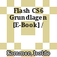 Flash CS6 Grundlagen [E-Book] /