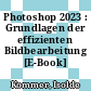 Photoshop 2023 : Grundlagen der effizienten Bildbearbeitung [E-Book] /