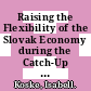 Raising the Flexibility of the Slovak Economy during the Catch-Up Phase [E-Book] /