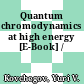 Quantum chromodynamics at high energy [E-Book] /