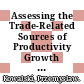 Assessing the Trade-Related Sources of Productivity Growth in Emerging Economies [E-Book] /