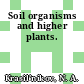 Soil organisms and higher plants.
