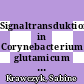Signaltransduktion in Corynebacterium glutamicum : Studien zur Rolle von Proteinen mir einer FHE-Domäne /