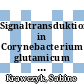 Signaltransduktion in Corynebacterium glutamicum : Studien zur Rolle von Proteinen mir einer FHE-Domäne [E-Book] /
