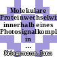 Molekulare Proteinwechselwirkungen innerhalb eines Photosignalkomplexes in Membranen : Molekulare Proteinwechselwirkungen innerhalb eines Photosignalkomplexes in Membranen [E-Book] /