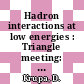 Hadron interactions at low energies : Triangle meeting: proceedings : Smolenice, 05.11.73-07.11.73.