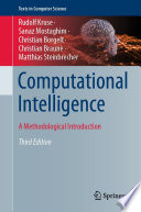Computational Intelligence [E-Book] : A Methodological Introduction /