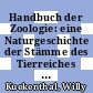Handbuch der Zoologie: eine Naturgeschichte der Stämme des Tierreiches Vol 0006,01: Acrania (Cephalochorda), Cyclostoma, Pisces vol 10.