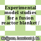 Experimental model studies for a fusion reactor blanket /