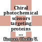 Chiral photochemical scissors targeting proteins [E-Book] /