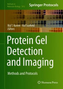 Protein Gel Detection and Imaging [E-Book] : Methods and Protocols /