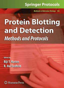 Protein blotting and detection : methods and protocols /