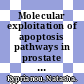 Molecular exploitation of apoptosis pathways in prostate cancer / [E-Book]