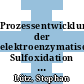 Prozessentwicklung der elektroenzymatischen Sulfoxidation mit Chloroperoxidase /