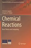Chemical reactions : basic theory and computing /