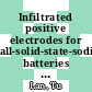 Infiltrated positive electrodes for all-solid-state-sodium batteries [E-Book] /