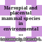 Marsupial and placental mammal species in environmental risk assessment strategies [E-Book] /