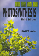 Photosynthesis /