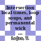 Intersection local times, loop soups, and permanental wick powers [E-Book] /