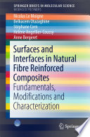 Surfaces and Interfaces in Natural Fibre Reinforced Composites [E-Book] : Fundamentals, Modifications and Characterization /