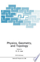 Physics, Geometry and Topology [E-Book] /