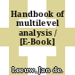 Handbook of multilevel analysis / [E-Book]