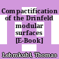 Compactification of the Drinfeld modular surfaces [E-Book] /