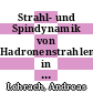 Strahl- und Spindynamik von Hadronenstrahlen in Mittelenergie-Ringbeschleunigern [E-Book] /