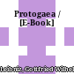 Protogaea / [E-Book]