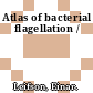 Atlas of bacterial flagellation /