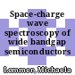Space-charge wave spectroscopy of wide bandgap semiconductors /