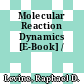 Molecular Reaction Dynamics [E-Book] /