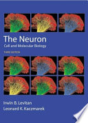 The neuron : cell and molecular biology /