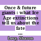 Once & future giants : what Ice Age extinctions tell us about the fate of earth's largest animals [E-Book] /