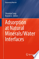 Adsorption at Natural Minerals/Water Interfaces [E-Book] /